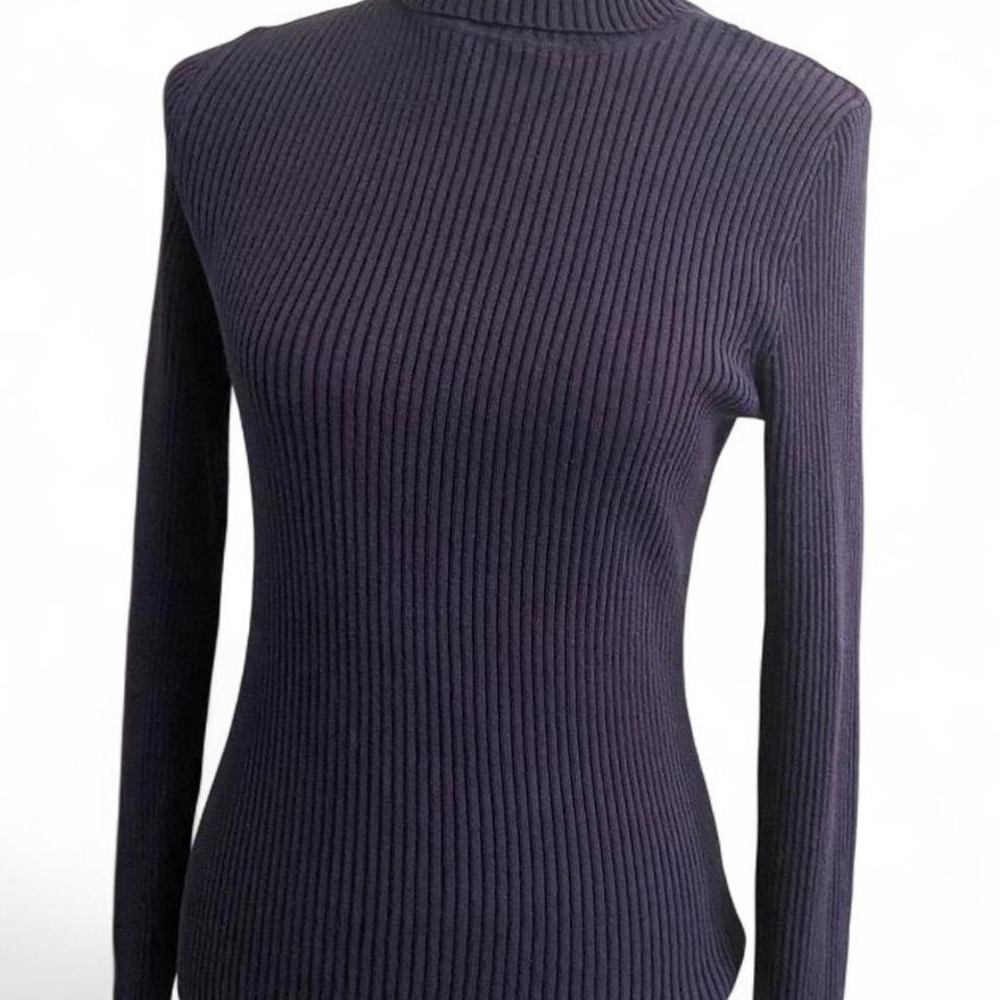 Chicos vintage purple silk blend turtleneck